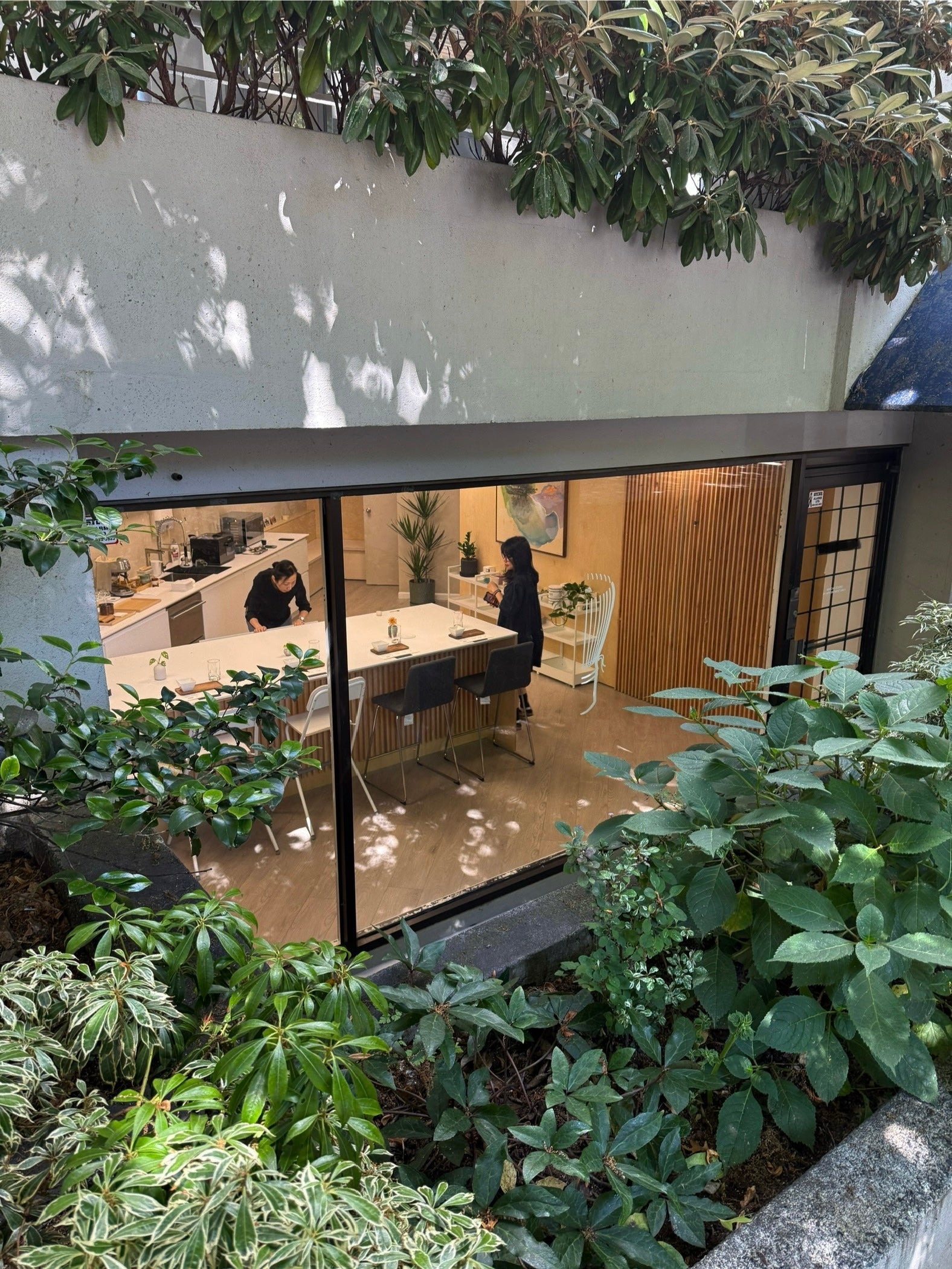 Matcha Workshops